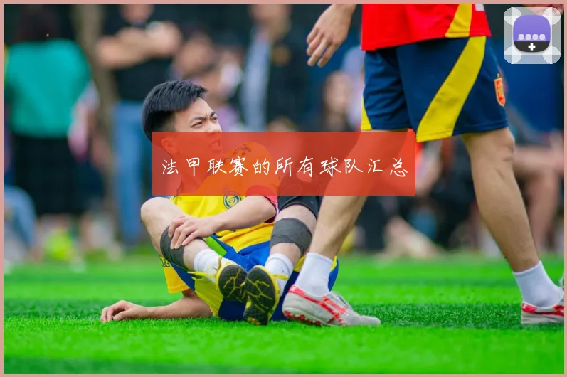 法甲联赛的所有球队汇总