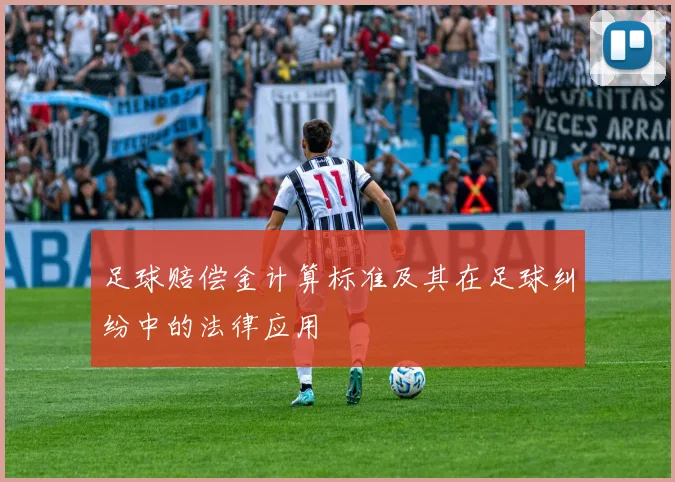 足球赔偿金计算标准及其在足球纠纷中的法律应用
