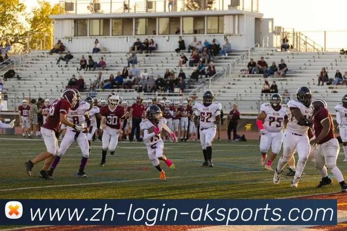 数据防护可视化